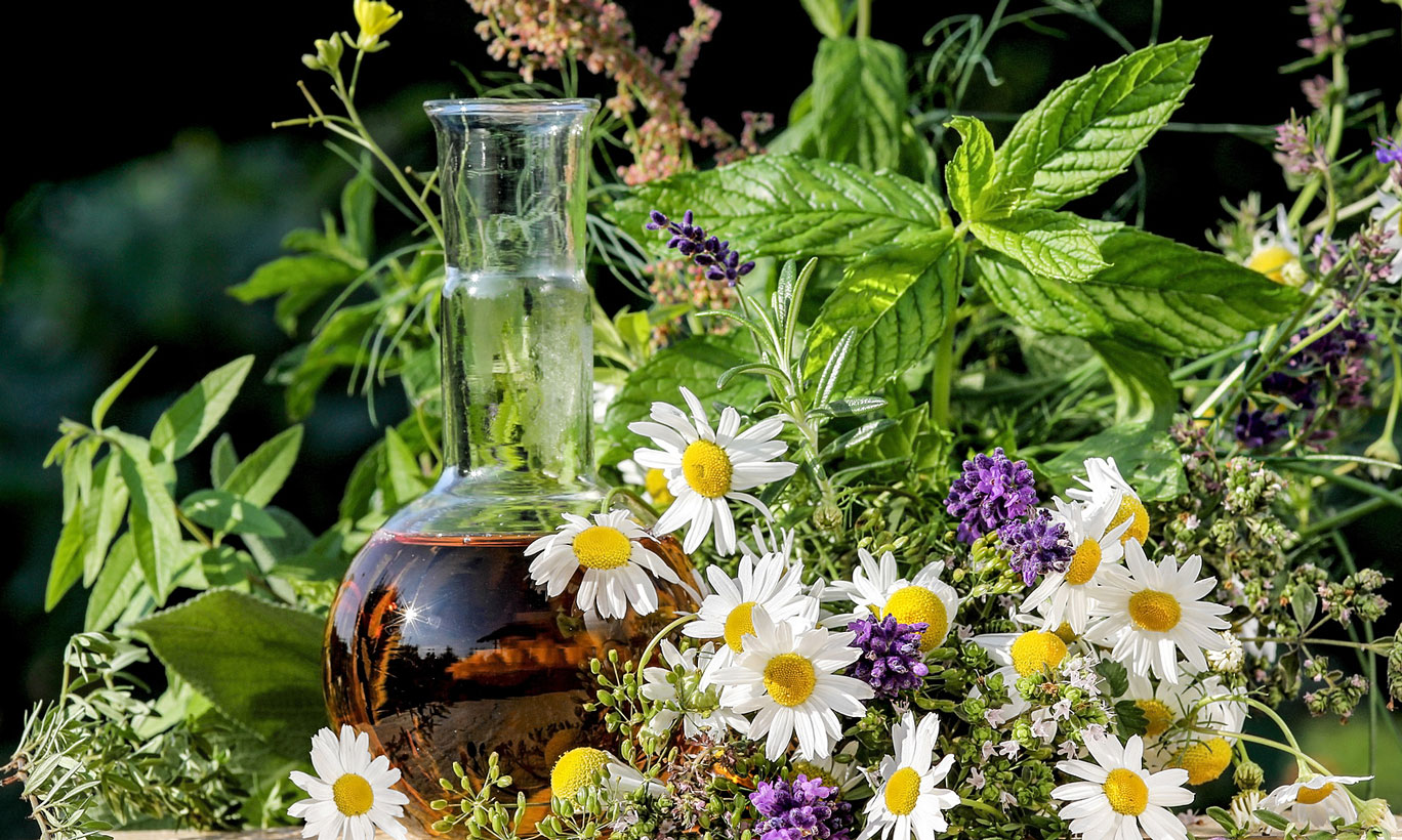 heilkraeuter-fotolia_galweb title=