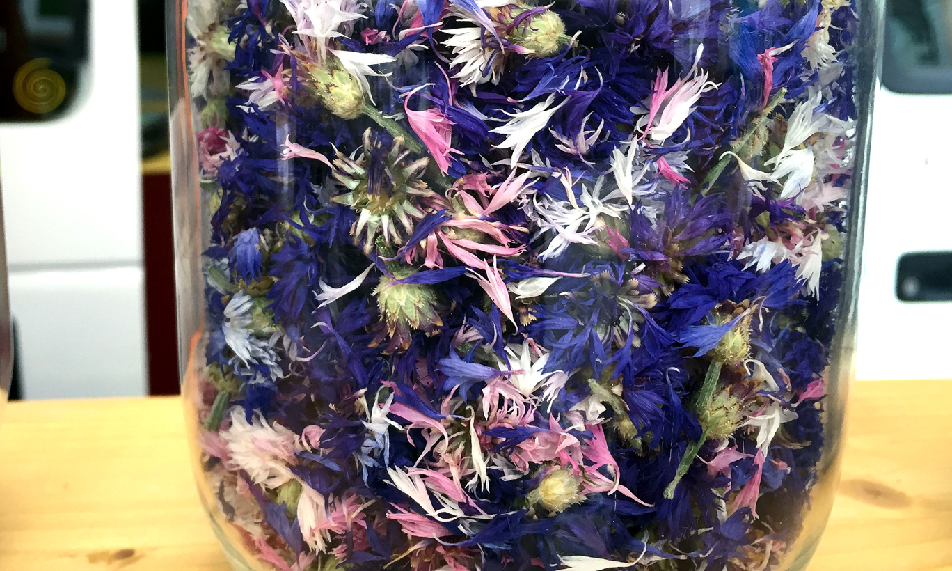 blaue-blumen-glas_galweb title=