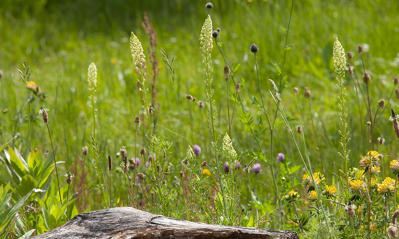 Naturgarten pxa1 title=