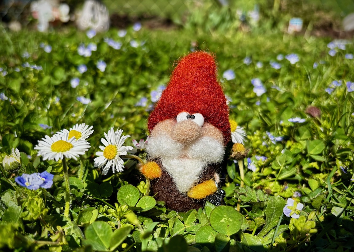 Zwerg im Garten_galweb title=