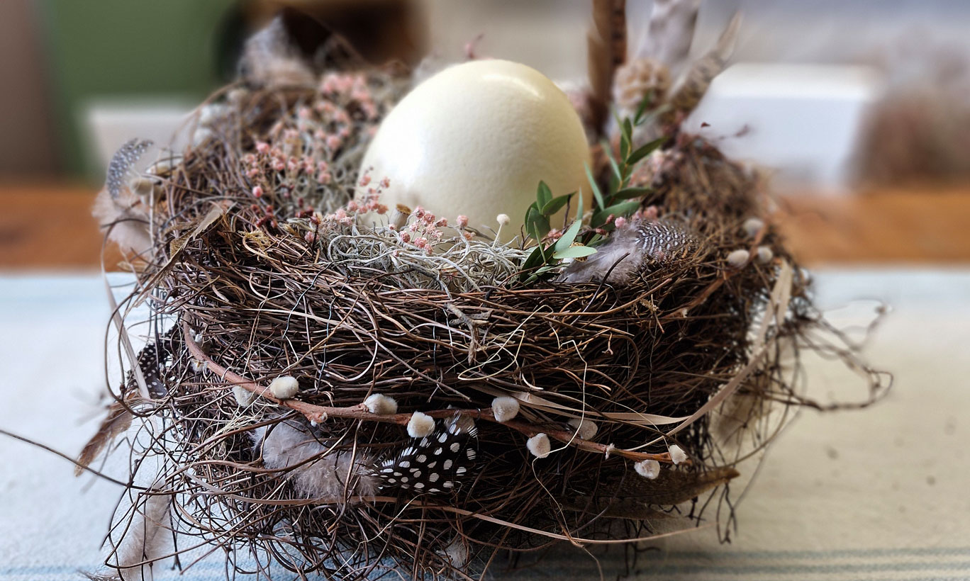 Osternest1_galweb title=