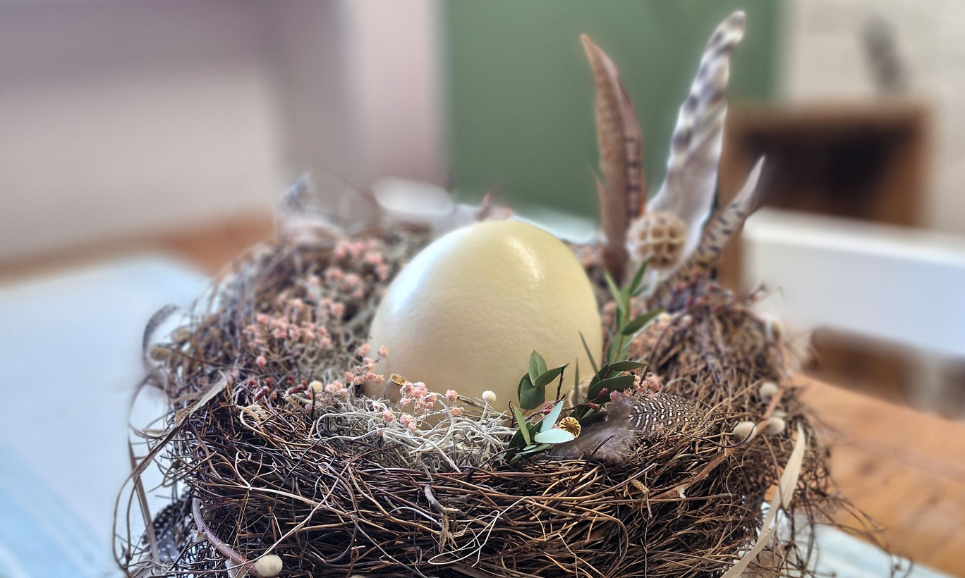 Osternest2_galweb title=