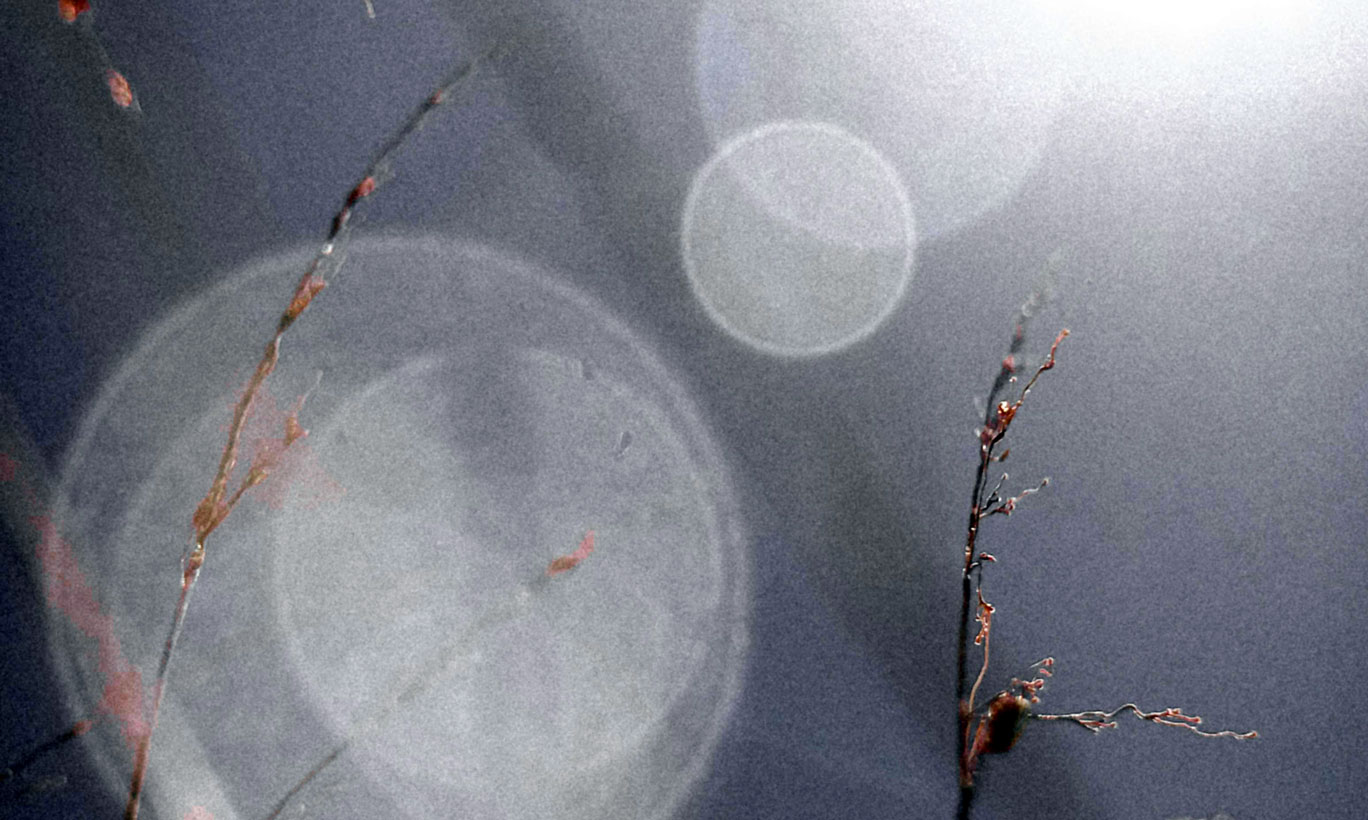 Orbs_galweb title=